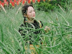 -天适樱花悠乐园