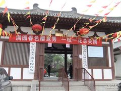 -西安青龙寺遗址景区