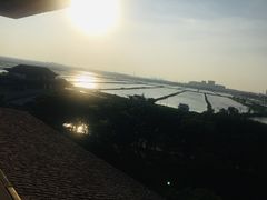 -大湾区中央湿地公园