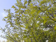 -青州市云门山风景区