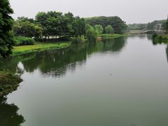 -尚贤河湿地