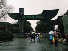 -溱湖国家湿地公园