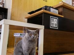 -壹人壹像工作室(购物公园店)