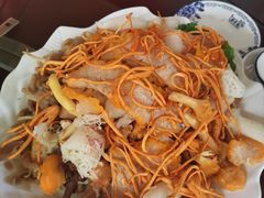 -山大王菌莊