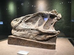 -自贡恐龙博物馆