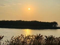 -天津东丽湖风景区