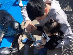 -泉城欧乐堡海洋极地世界