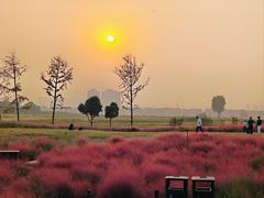 -汉长安城未央宫国家考古遗址公园