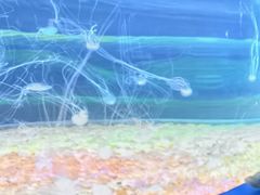 -欢乐海岸海洋奇梦馆