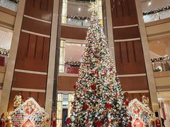 -深圳星河丽思卡尔顿酒店