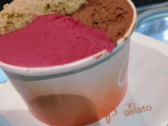 -DIP in GELATO(富民路店)