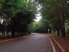 -福建鲤鱼洲酒店