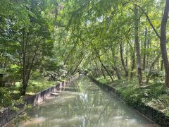-上海滨江森林公园