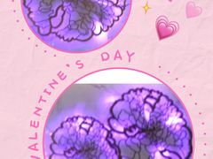 -蟹榭(静安寺晶品商场店)