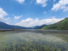 -腾冲北海湿地