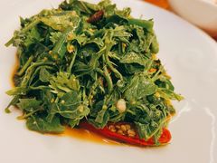 凉拌花椒芽-滇香肴·云南菜蒸汽石锅鱼(云南北路店)