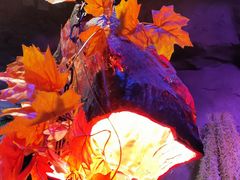 -醉小酒馆·川菜·江湖菜·重庆菜(观音桥旗舰店)