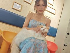 -平行世界·猫咖(首经贸店)