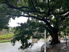 -云水谣景区