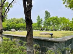 -明故宫遗址公园