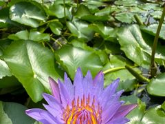 -三亚海棠湾万丽度假酒店