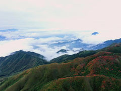-大围山国家森林公园