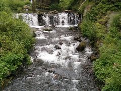 -凤凰山国家森林公园