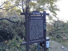 -阳台山自然风景区