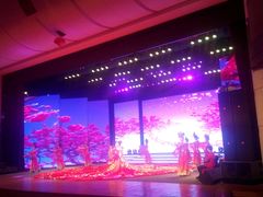 android_upload_pic-南风大剧院莎梦二人转剧场