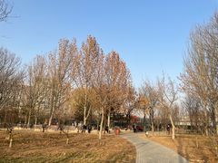 -回龙观体育文化公园