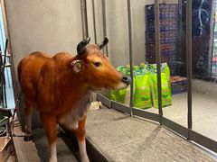 -林记潮牛·牛肉火锅(上马墩店)