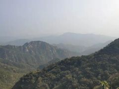 -大岭沟猕猴桃谷风景区