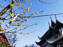 -上海皇廷花园酒店·西餐厅·自助餐