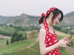 -帐篷客·溪龙茶谷度假酒店