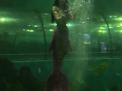 -苏州海洋馆