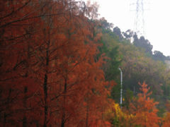 -梅峰山地公园