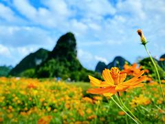 -靖西鹅泉风景区