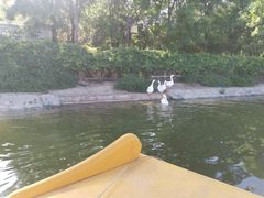 -西安汉城湖景区