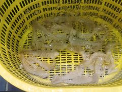 -天鹰观渔(梦园店)