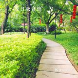 隐藏在老城区别致的小公园