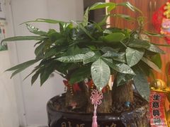 -湘寶缘(育英中学店)