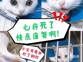 小宝贝要快点恢复健康啊