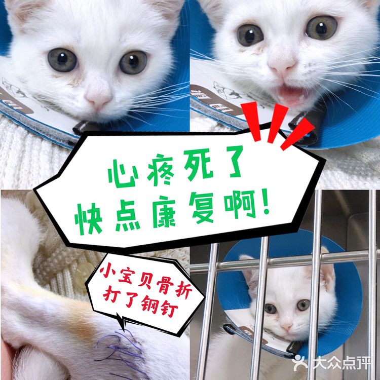 小宝贝要快点恢复健康啊