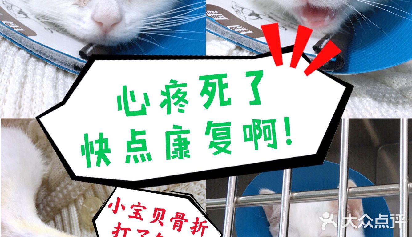 小宝贝要快点恢复健康啊