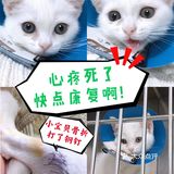 小宝贝要快点恢复健康啊