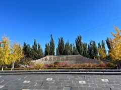 -永定河休闲森林公园