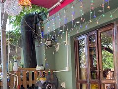 -Santoor 萨都里印度餐厅(北锣鼓巷店)
