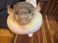 -永安鱼庄·镇江菜(丁卯店)