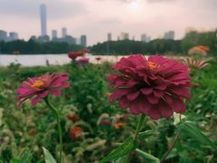 -白塘生态植物园