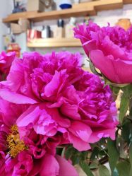 -今日陶艺(富力广场店)